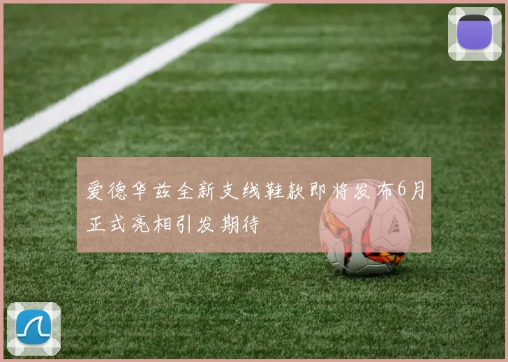 爱德华兹全新支线鞋款即将发布6月正式亮相引发期待
