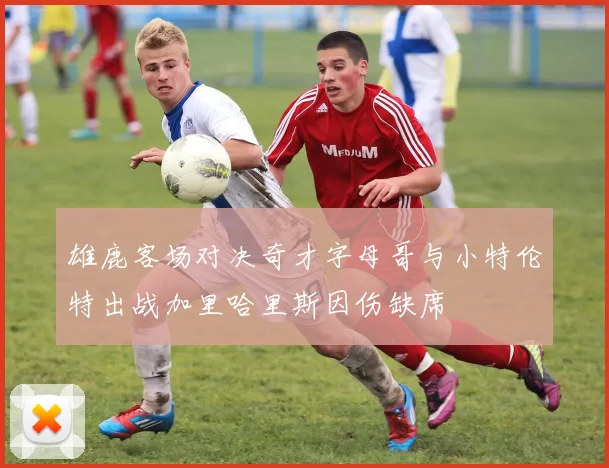 雄鹿客场对决奇才字母哥与小特伦特出战加里哈里斯因伤缺席