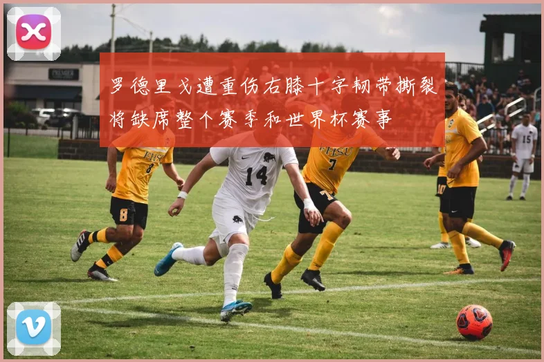 罗德里戈遭重伤右膝十字韧带撕裂将缺席整个赛季和世界杯赛事